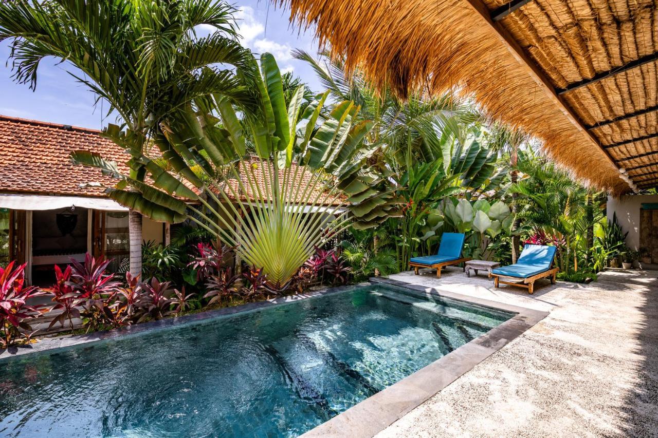 Tanah Lot Seaside Tribe - Boutique Surf Stay & Retreat מראה חיצוני תמונה